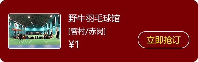 23野牛羽毛球馆.jpg