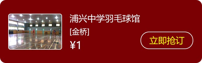 14浦兴中学羽毛球馆.jpg